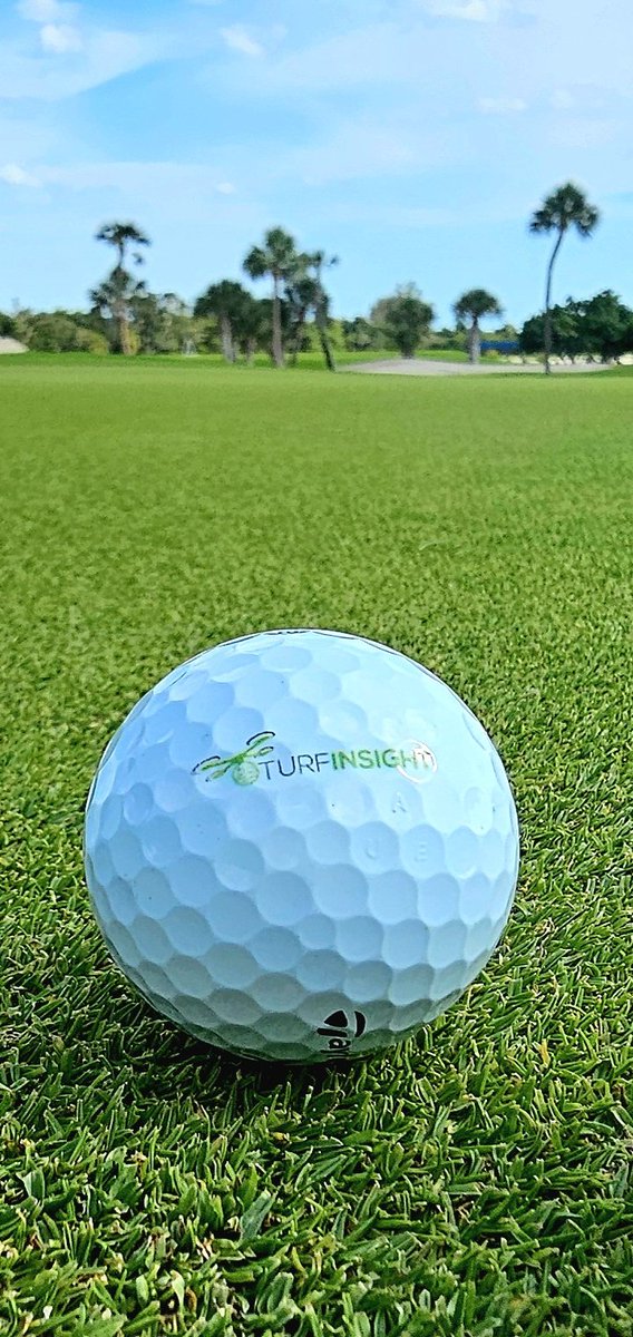 john reilly tweet media