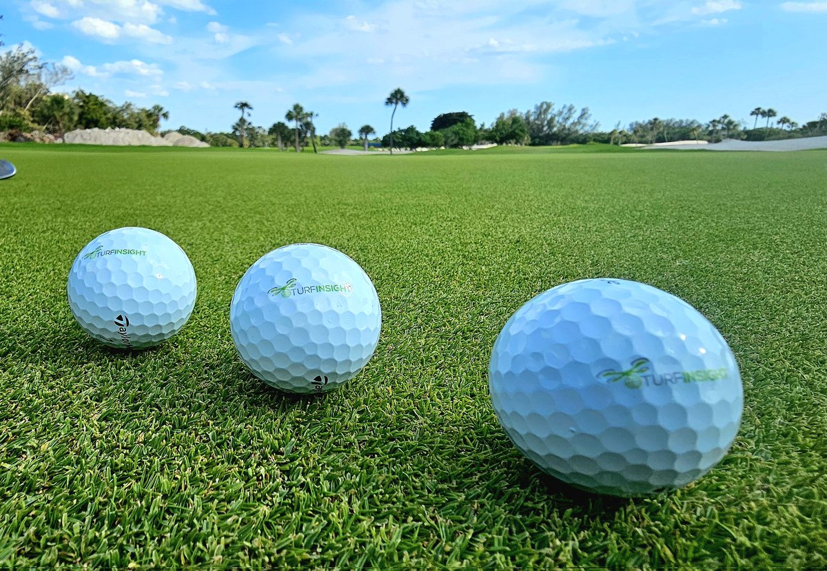 john reilly tweet media