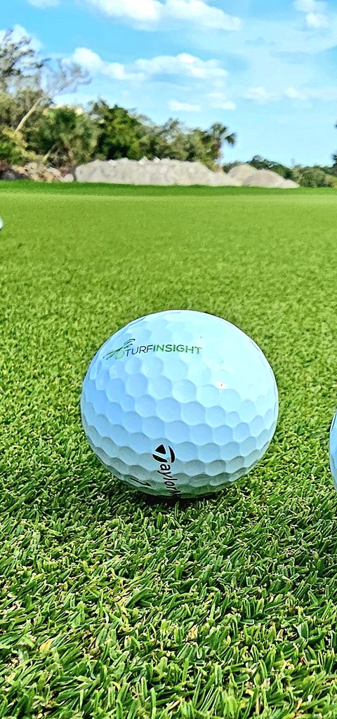 john reilly tweet media