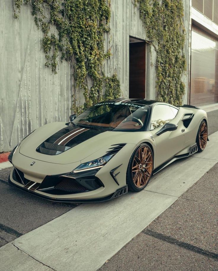 that color >>>