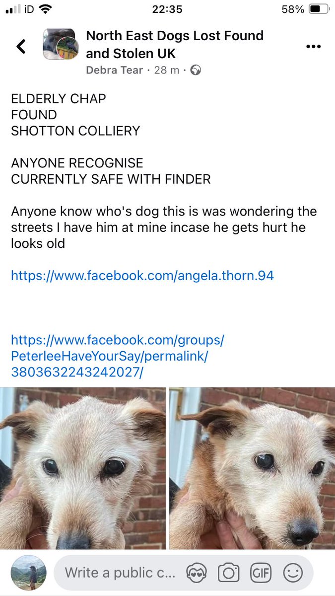 Please share - to find owner of this elderly darling facebook.com/share/p/L1joen…