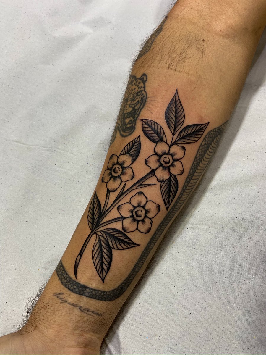 seco___________'s tweet photo. Agenda de Julho 
2 - 12 SP no Oráculo Tattoo 
12 - 18 BH no Estúdio Fogo 
18 - 28 RJ https://t.co/QynsQYjqM1