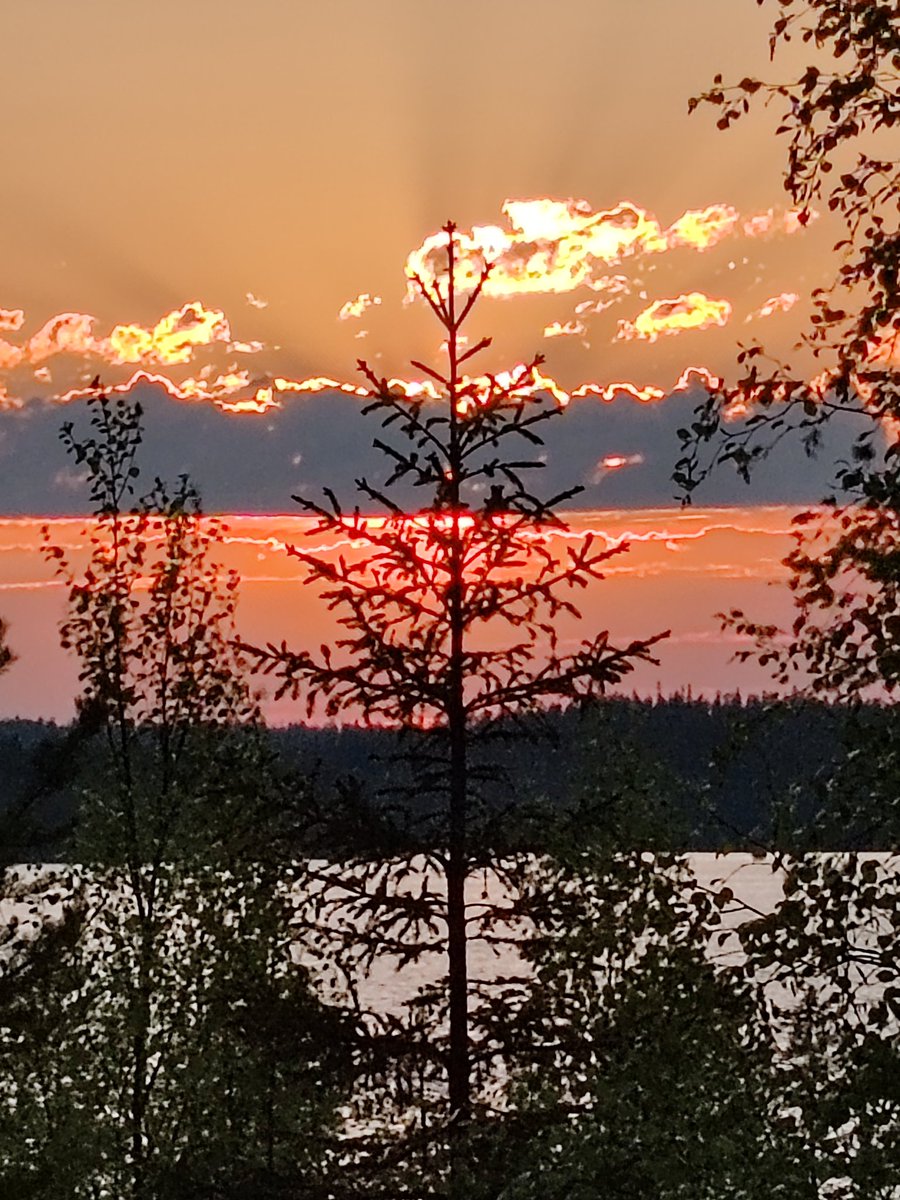 Kesäyöt.🧡 #kesäkuu #kesäyö #kuusamo #suomenluonto