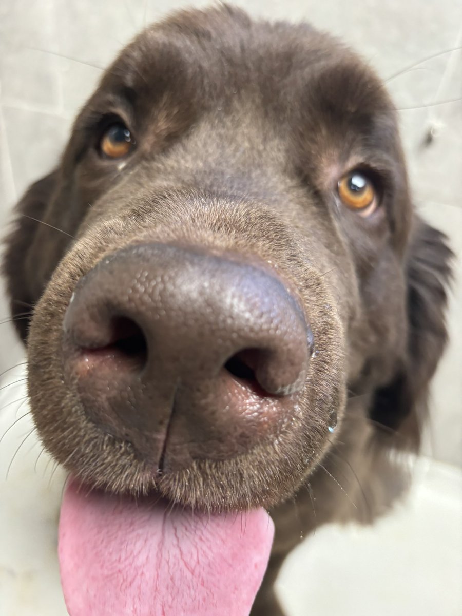 Cool show. Handsome guy.