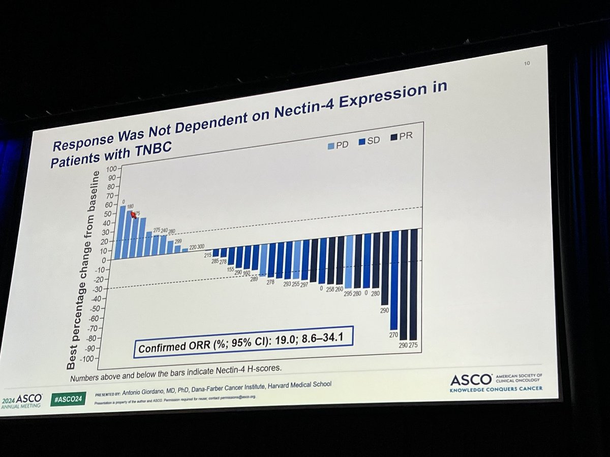 PTarantinoMD's tweet photo. Antonio Giordano (@antgiorda) from @DFCI_BreastOnc presents the first data of the Nectin4 ADC enfortumab vedotin in metastatic breast cancer. ORR 15.6% in HR+ and 19% in TNBC, PFS 5.4 and 3.5 months, respectively. Nectin4 expression not predictive of benefit with EV. #ASCO24 https://t.co/SD2xAIoqWt
