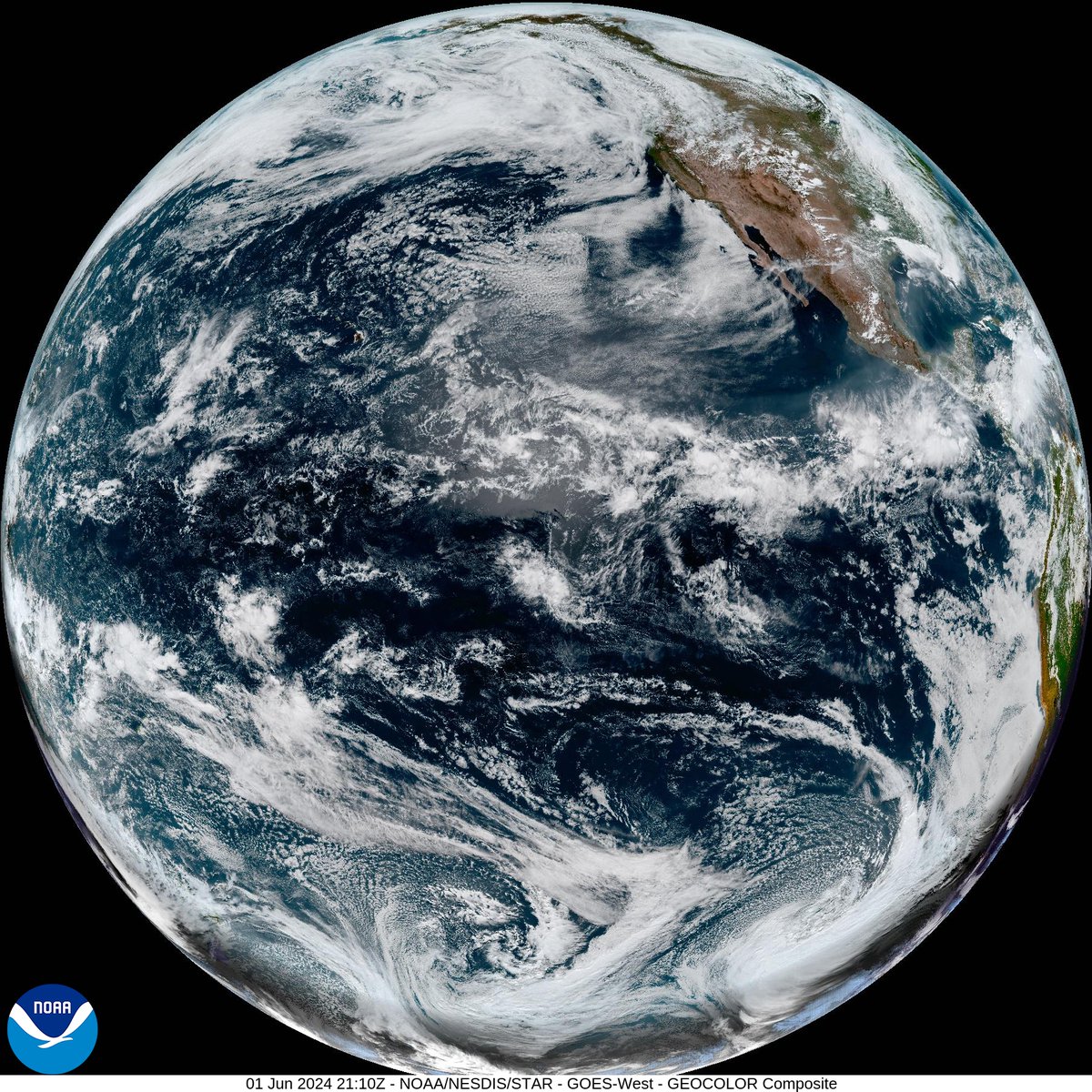 Earth Selfie Bot tweet media
