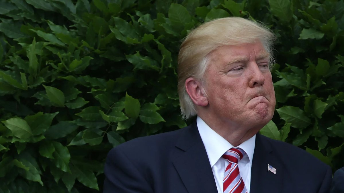 MamalehTrumpOG's tweet photo. Well, it's been over 48 hours since my Donaleh was crowned Felon Donald Trump.

And I am still riding a high that transcends even those of Don, Jr on any day that ends in "Y."

#DonaldTrump #DonaldTrumpGUILTY #MAGA #GOP #Felon34 #trumpisacoward #Trumpisguily #TrumpCrimeSyndicate https://t.co/A9O9X6lNDJ