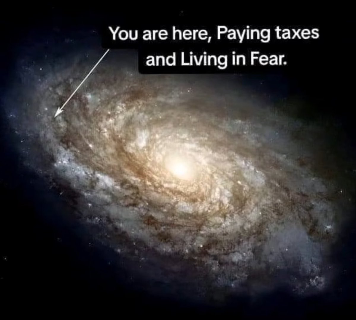 DogeDesigner (@cb_doge) on Twitter photo 