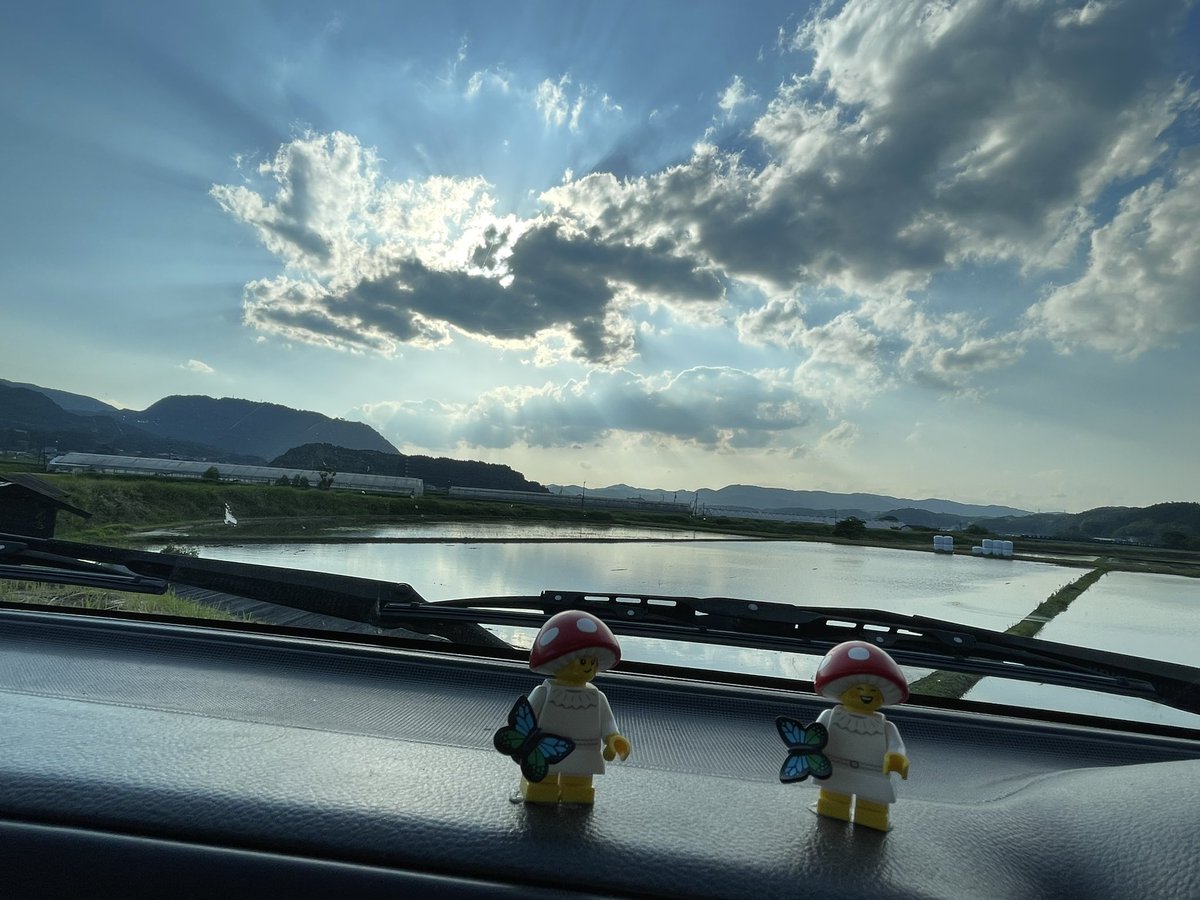 TypoerrorLEGO's tweet photo. 楽しい(レゴは…？) https://t.co/deUudGmHi5