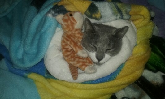 Some days you just want to be alone with your best buddy.