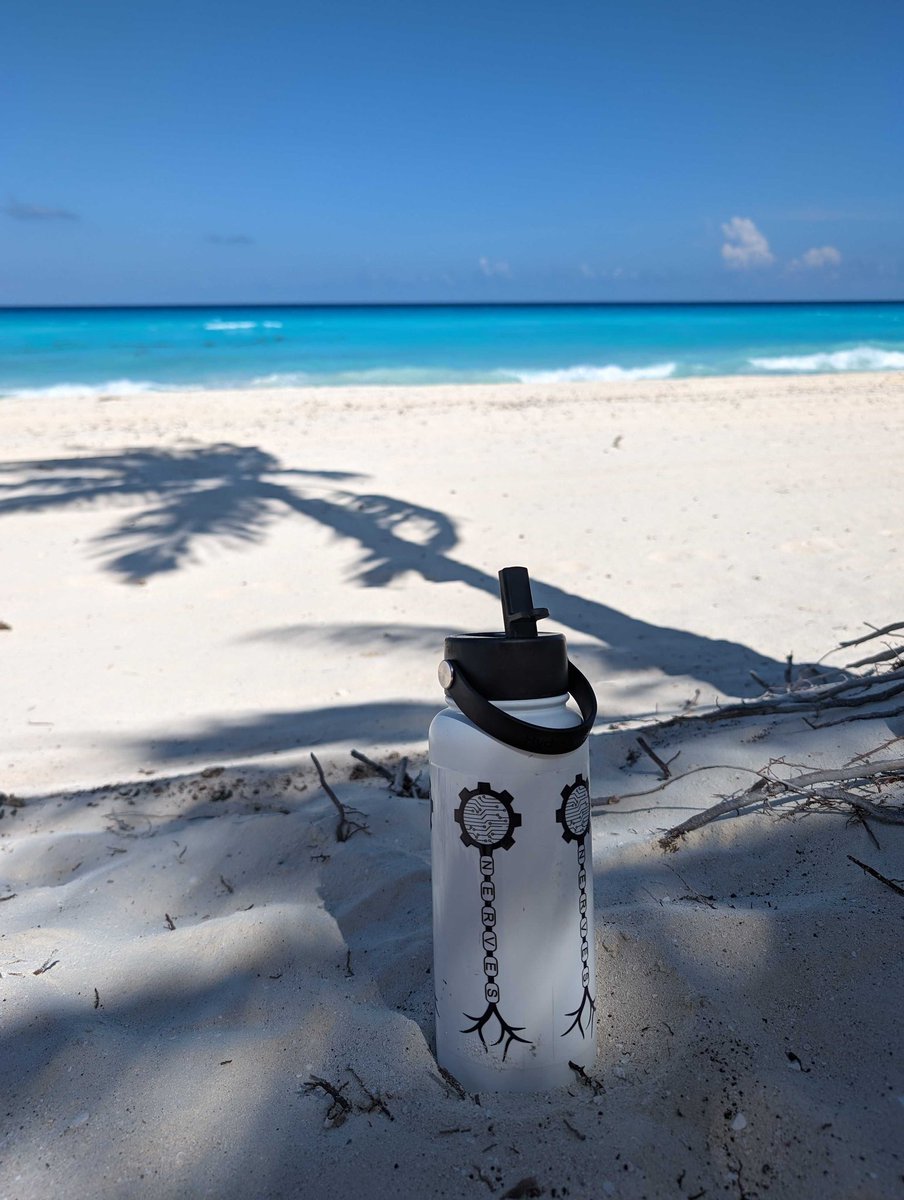 NERVES_Lab's tweet image. We are reppin all over the globe!

Photo 📸 by Research Associate @MartaIversen!