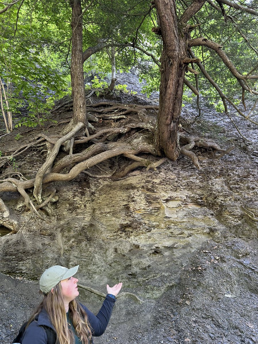 MrsDbach's tweet photo. Explored the geology of Taughannock Falls gorge @NYstateparks &amp; walked through the geologic timeline @PRInstitution. Were Regents Ready! @WCSDHighSchool @OnondagaM https://t.co/VTr1RM81Sz
