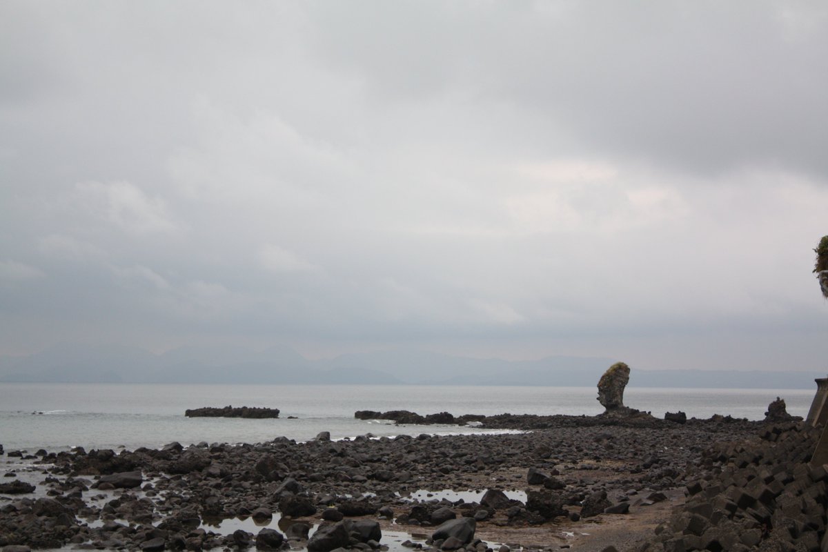KatsuyaGoto's tweet photo. “Yes, from this angle I see a pointy head, prominent teeth. Looks something like that #rightist_politician,’” responded Hiotoko, highly amused.
He gazed at the rock awhile and muttered, “I wonder if #Valignano saw this rock when he arrived at #Kuchinotsu 430 years ago.”
“Let’s see, what would it have looked like then? The neck area got cracked by all the wave erosion, so we got the town office to plug it with cement. But one day, that head’s gonna fall off.”
As he listened, Hikaru saw a vision of lava spurting from a crater, merging into the form of a giant who attacked a country village and scudded into the sea.
“That boulder is actually once a pair of twin boulders. The smaller one had already lost its head when I was born . . . See it?” She pointed to a boulder closer to the shore.
As they chatted, the woman told them about her diner nearby. Hiotoko said, “We were just getting hungry! Have you got fish caught around here?”
When she said, “We’ve got some big arakabu today,” they started walking toward her café. “Maybe kasago rock fish would be easier to eat? Kasago is . . .”
Hikaru interjected, “I’m fine with kasago.”
The diner was only forty or fifty meters away, but they slowly walked through the tidal wind.
As the woman lit the burner under the miso soup and prepared the stewed arakabu, Hiotoko asked her, “Do you have a problem with your leg?”
“Yeah, I have a #cerebral_contusion.” She began to relate her long trial. “One day, I was driving down the road in a big rain when I was hit by a #landslide. My car slid into the sea with me in it. My head was hit so hard, I lost consciousness. Lucky for me, it was ebb tide. I was lifted onto the shore.”
“That was very fortunate, wasn’t it?”
“That’s not the end. I was rushed to the peninsula medical center and saved by #brain_surgery. When I came to, I had a fist-sized hole in my head.” She parted her frizzy hair to touch the crown of her head.
https://t.co/qDS7dzYGGZ