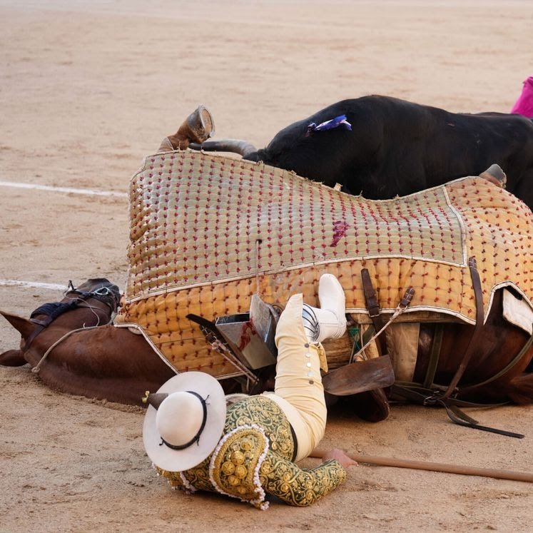 ruben_prz's tweet photo. Los caballos también son víctimas de los taurinos.

Hay que abolir esto. YA. https://t.co/jDM1lWTWVy