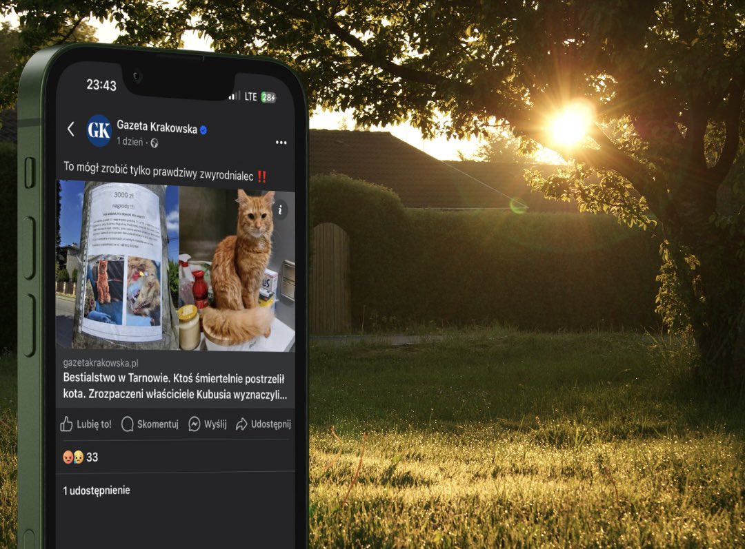 Właściciele dwuletniego kotka Kubusia poszukują zwyrodnialca, który 17 maja na Zabłociu w Tarnowie śmiertelnie postrzelił zwierzę z wiatrówki.

Kotek wykorzystał chwilę nieuwagi właścicielki i uciekł z domu. Gdy pani Anna poszła go szukać, usłyszała piskliwy płacz kota. Okazało