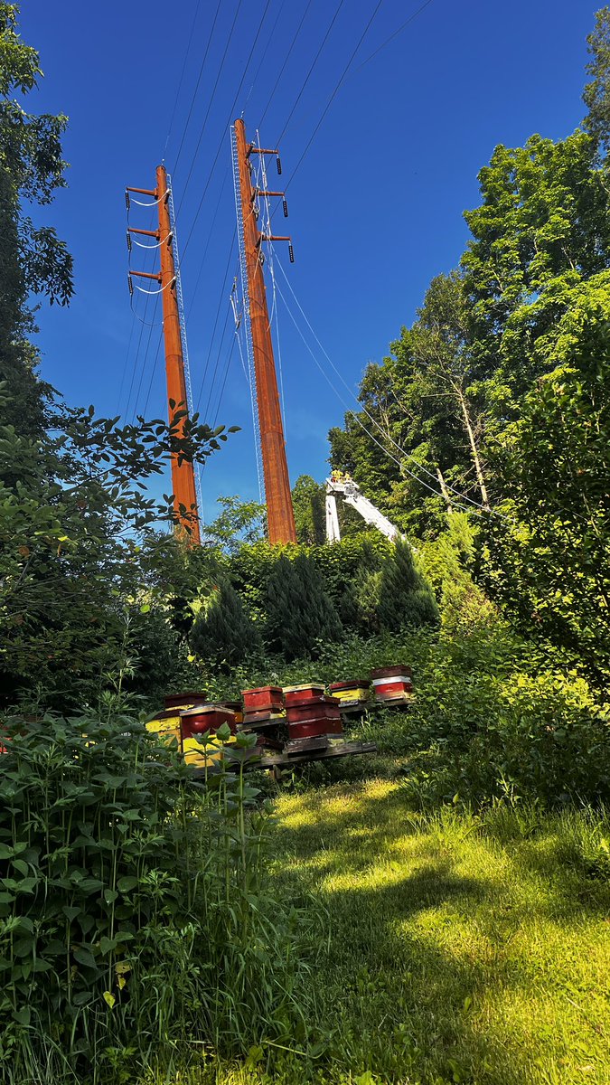 redbee's tweet photo. 👏👏🏼👏🏾@EversourceCT @GovNedLamont @AGWilliamTong @WTNH @News12CT @CT_PURA @ConnDEEP @cnnbrk @BreakingNews @patagonia @YaleE360 @ejfoundation @SenBlumenthal @ChrisMurphyCT https://t.co/0A7VJK5Ljb
