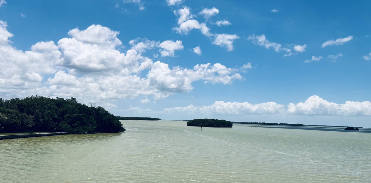 Amazing day! <a href="/EvergladesNPS/">Everglades National Park</a> 
#flamingopark
#florida 
#FloridaEverglades
