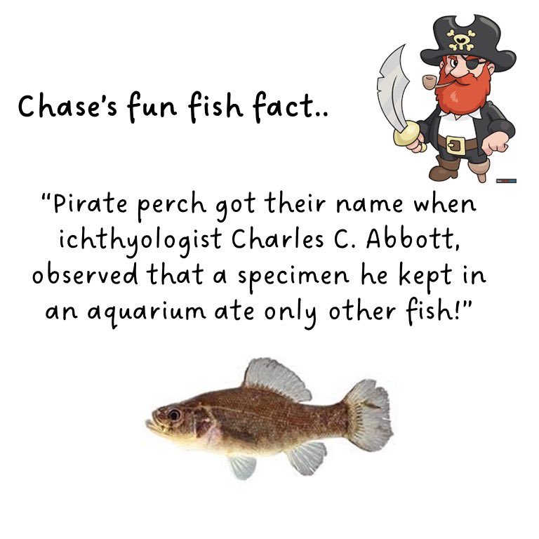 Introducing Chase, our Southern Division Rep! Would you look at that bass!