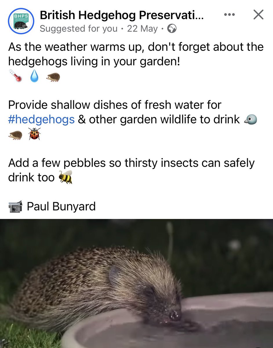 Jogarrod tweet media