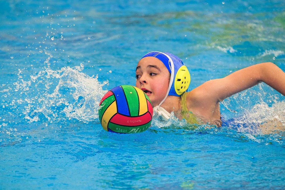 cnboadilla's tweet photo. #WP #Alevín
Este #finde se celebra en @Colegio_Brains el Torneo Preparatorio para el Camp España Alevín @RFEN_Oficial
🎉🎉🤽‍♀️🎉🎉
Nuestras chicas están de #puestaapunto para la #granfiesta de @waterpoloelche
#competid
#disfrutad
#elpololopeta
📸@MiguelCapelli https://t.co/SnKpTARiDL
