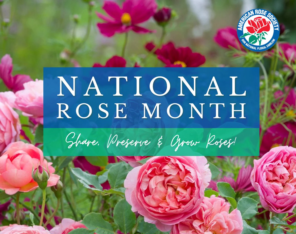 🌹 Happy Rose Month! 🌹

👉 If you want to learn more about National Rose Month, visit our website: rose.org

We have tons of info about roses and the history of the American Rose Society and Rose Center! 

Stay tuned for membership promos, rose photos, &amp; more 👀