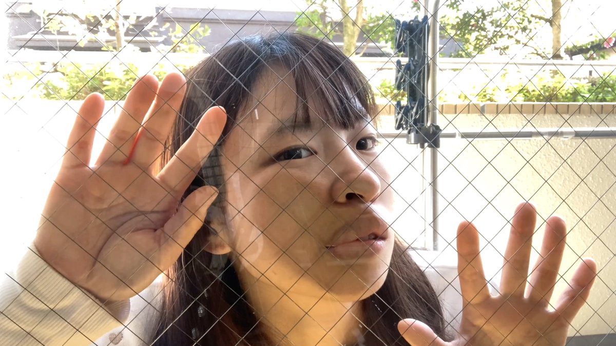 faceonwindow tweet picture