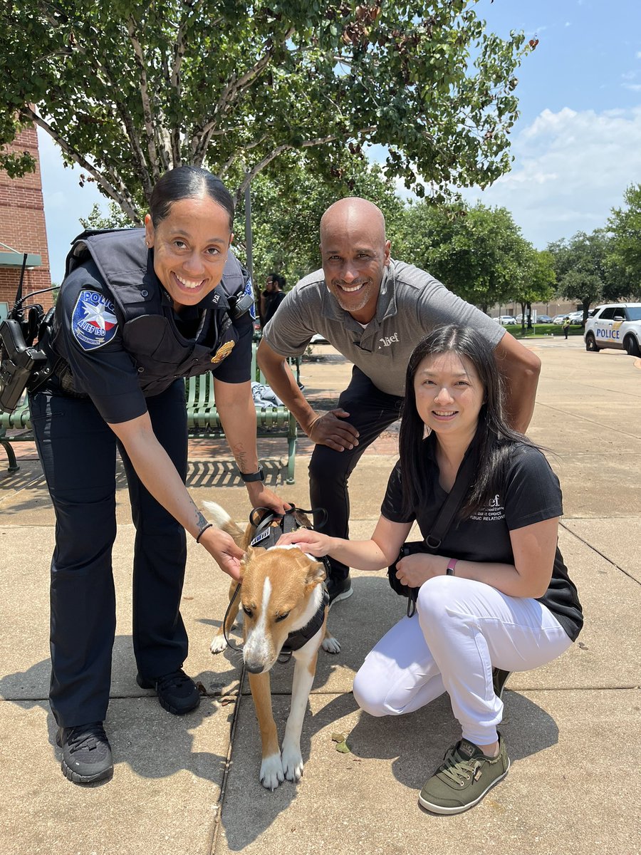 Dr. Ting-Ling Sha tweet media