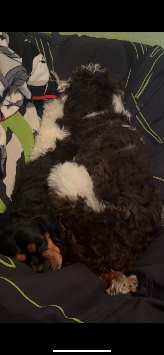 AfroDonkey_'s tweet photo. @BreakdownPod @OpTic @CordaRoys Help me get my optic bean bag back! @OpTic @CordaRoys https://t.co/qQ4oAtB8ra