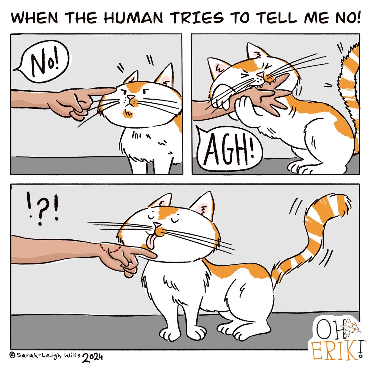 I'm sure all my cat fans will agree with me on this one...! 😼
#catproblems #peskyhumans #catlife #catstruggles 
oherikofficial.co.uk