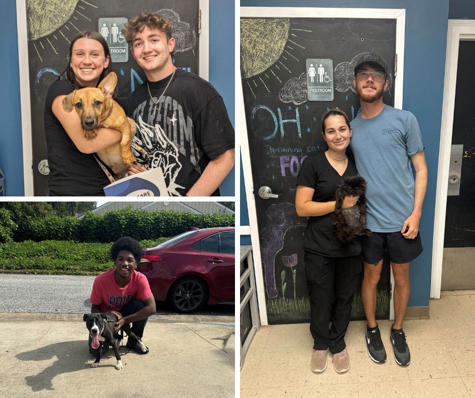 We had a great day today with the Bring Love Home Challenge presented by the Best Friends Animal Society. We had 6 adoptions and 15 intakes.  Norman, Lydia, Bo Peep, Onyx, Spotty, and May all found forever homes.  We will be open tomorrow at 12pm. Come and see us then.