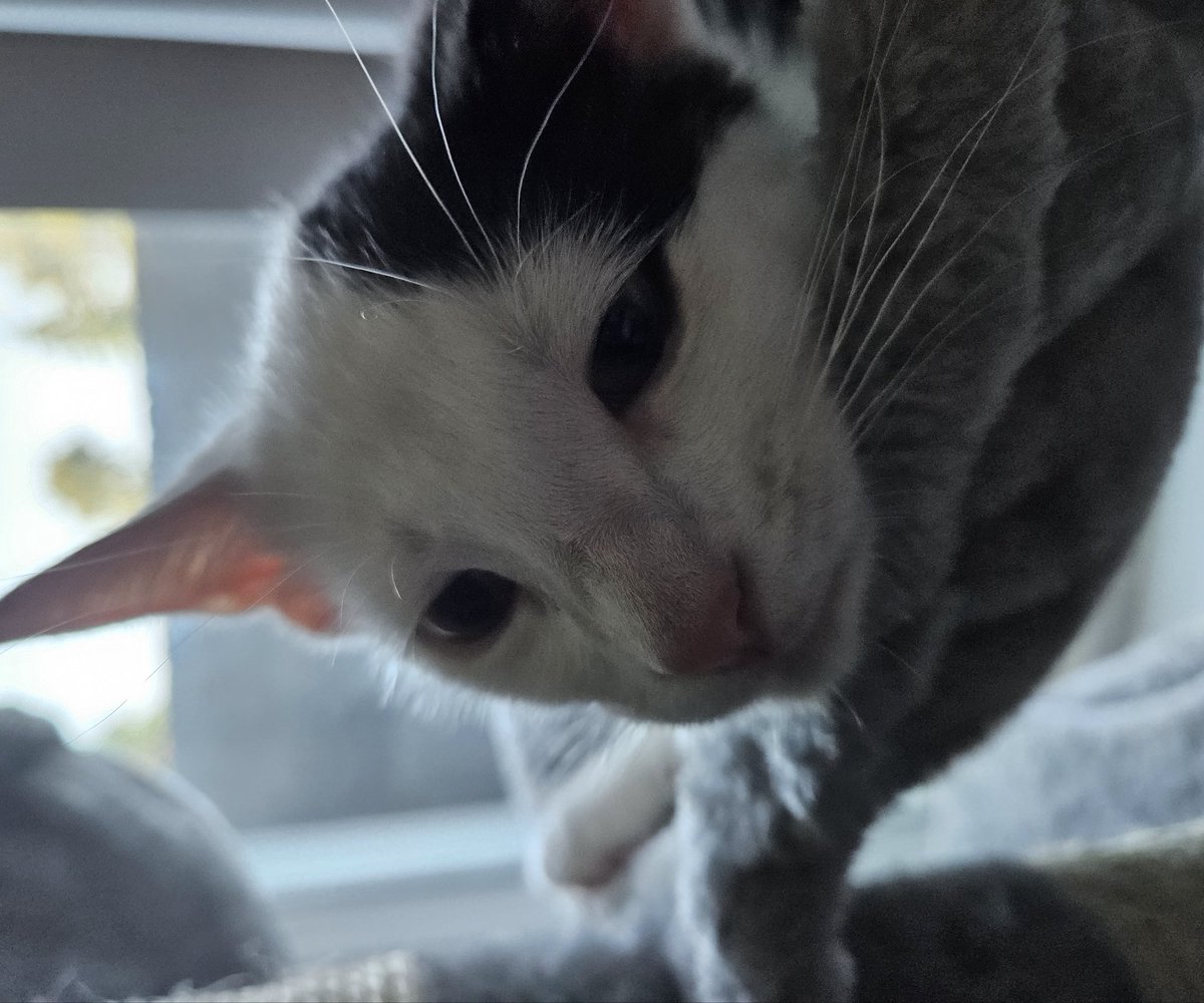 bone_emoji's tweet photo. Thats my boy, hes my son. https://t.co/86BS3ufJAO
