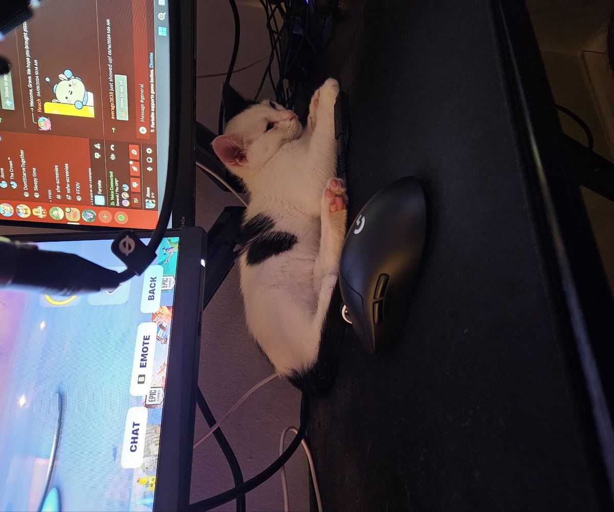 bone_emoji's tweet photo. Thats my boy, hes my son. https://t.co/86BS3ufJAO