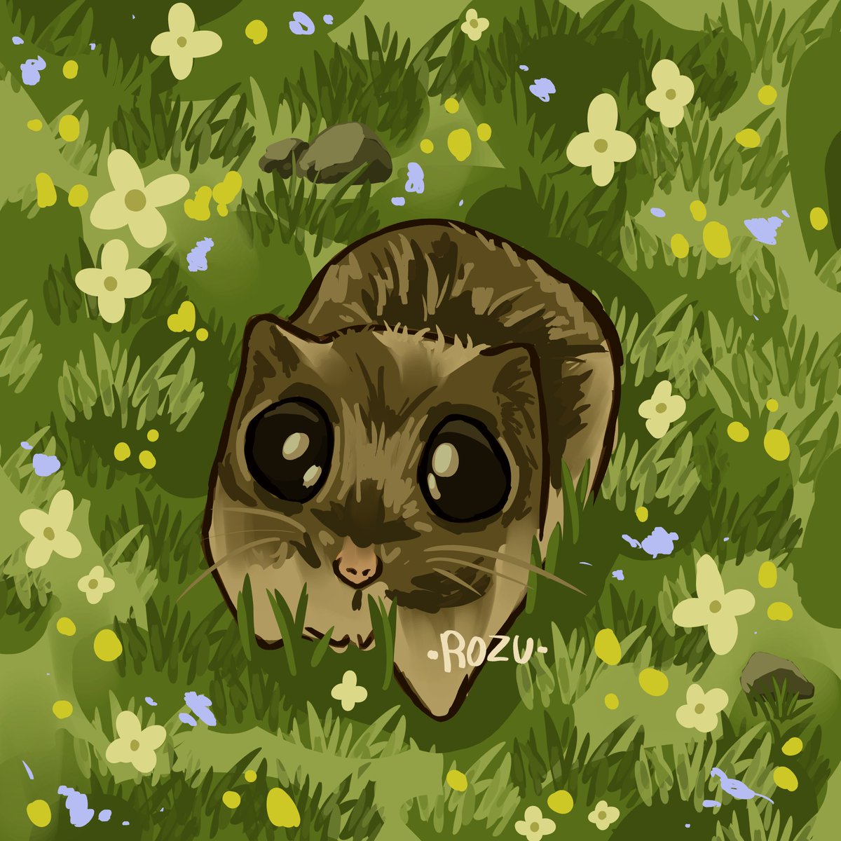 ZRozumari's tweet photo. Vi esta imagen y quise dibujarlo a mi estilo jakskaksj 🐹🌻
.
.
#dibujodigital #art #hamster #hamstermemes #hamstermeme #medibang #medibangpaint https://t.co/6fMajYcF4u