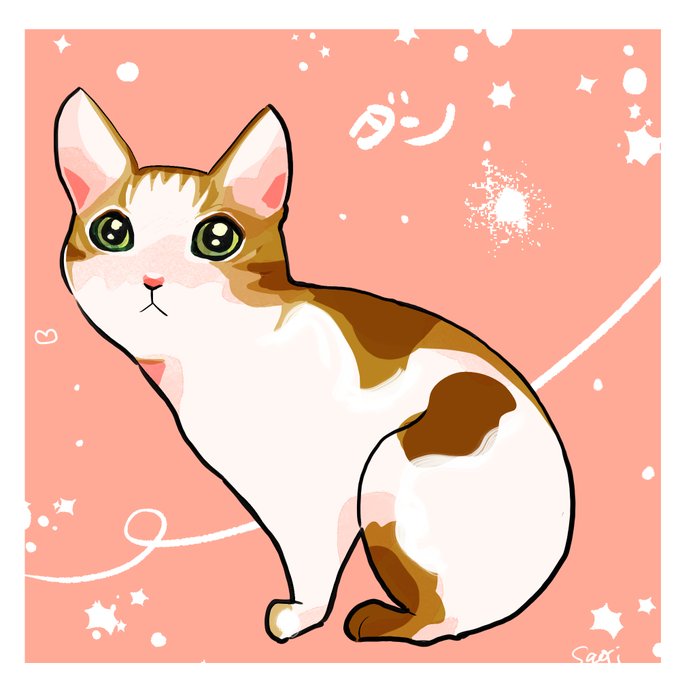 「猫 ソロ」のTwitter画像/イラスト(新着)
