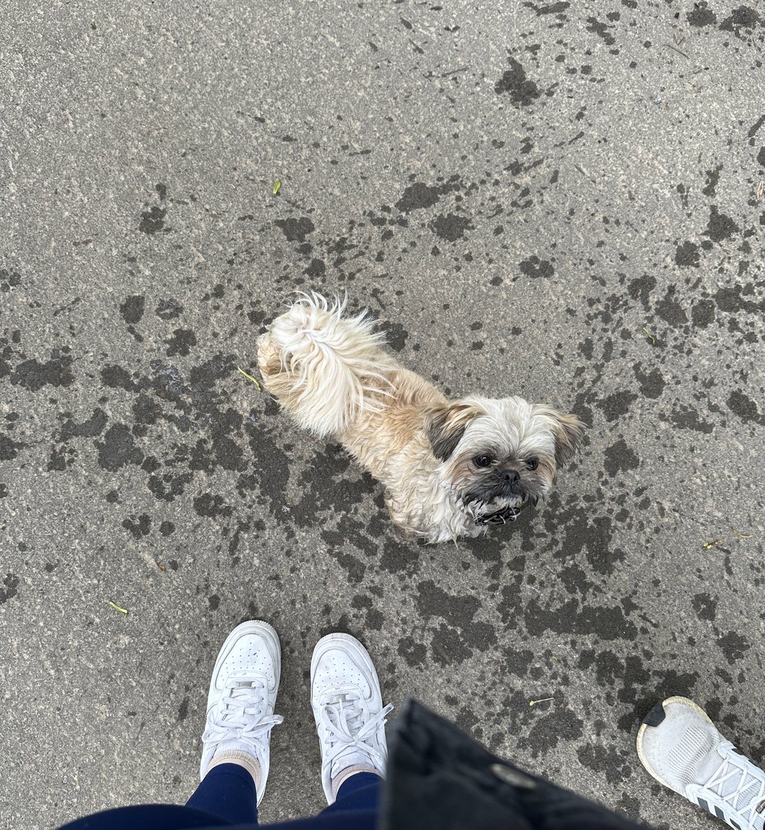 Look, who I found 🫣