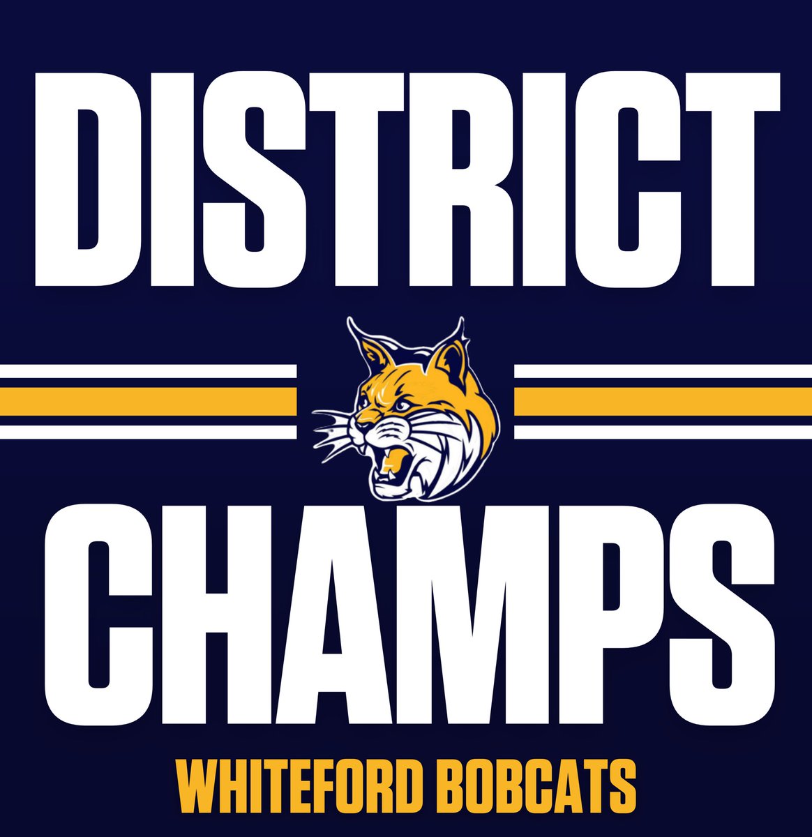 Whiteford repeats as District Champs ⚾️