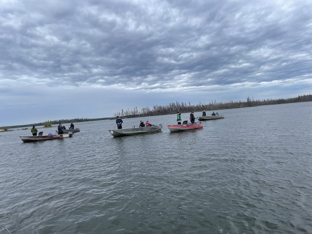 Jason Sawatzky tweet media