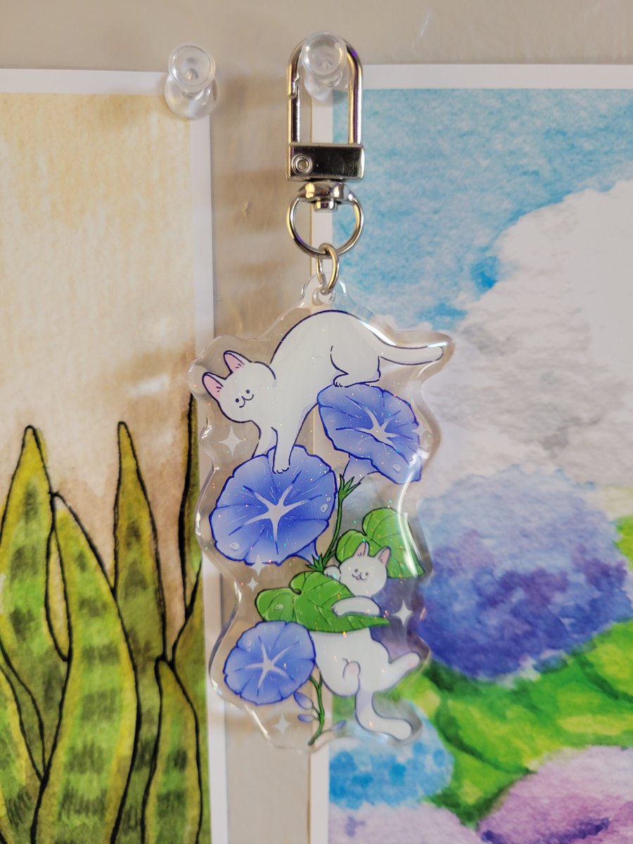 Now on BlueSky @TotallyKnuts tweet media