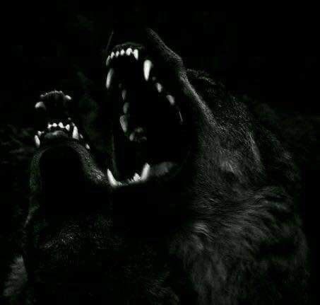 themoonofhell's tweet photo. Moon Kwang-Eun
"From the Moon; Wild Kindness/Mercy/Charity"
Hellhound
Switch. Pan. Multi.

↻ + ♡ for mutual
#krp #kpoprp #ateezrp https://t.co/rB3io2mENZ