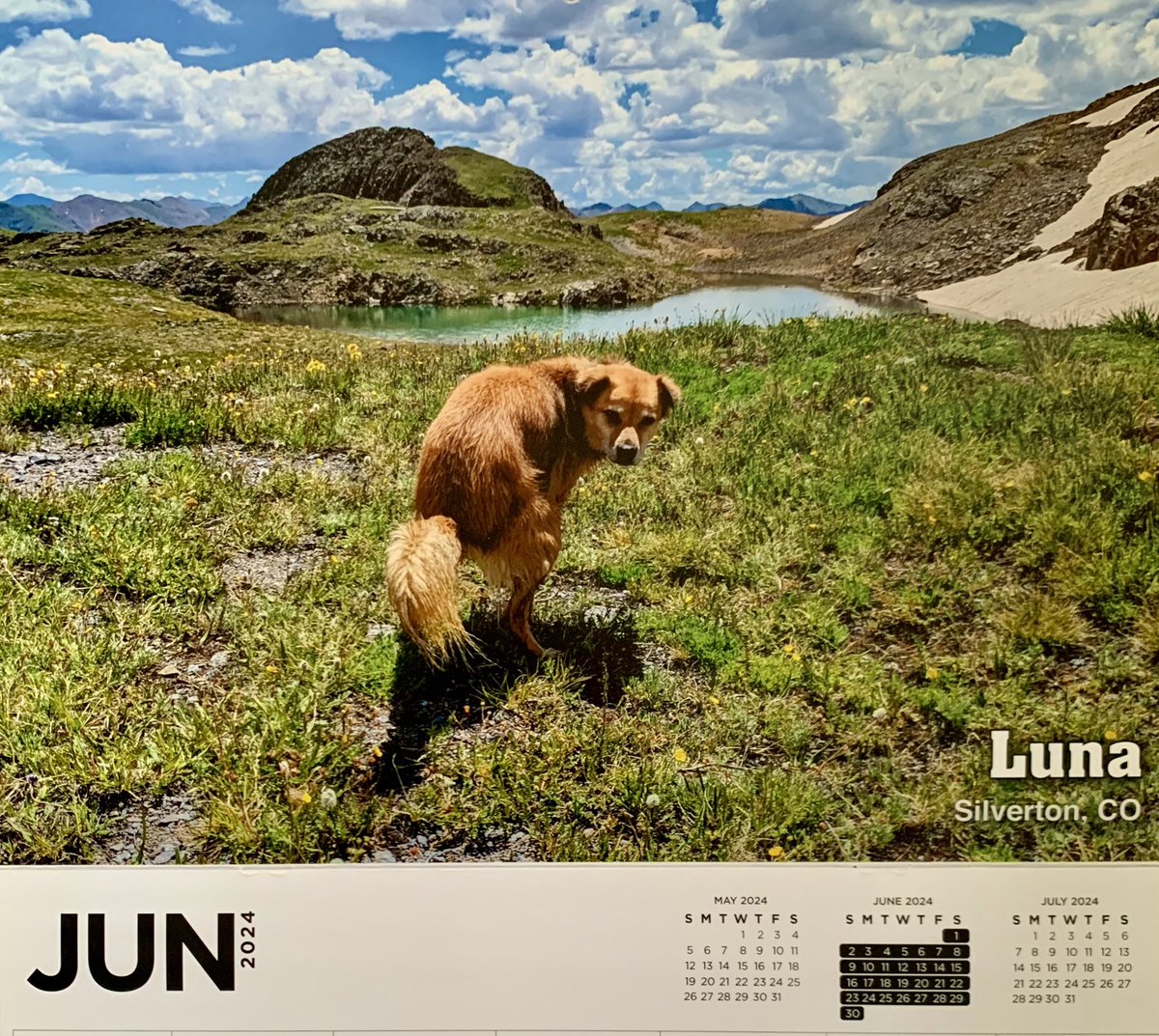 Wojtek Kubarek tweet media