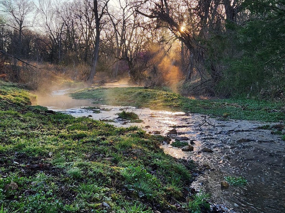 Last minute cancellation for next weekend!  Book your own private creek front getaway at salinecabin.com! 😎☀️ 
.
.
.
.
.
.
.
.
.
#TravelOklahoma #VisitOklahoma #OkHereWeGo #VisitCherokeeNation #SalineCabin #SpringCreek #Ozarks #SummerFun
