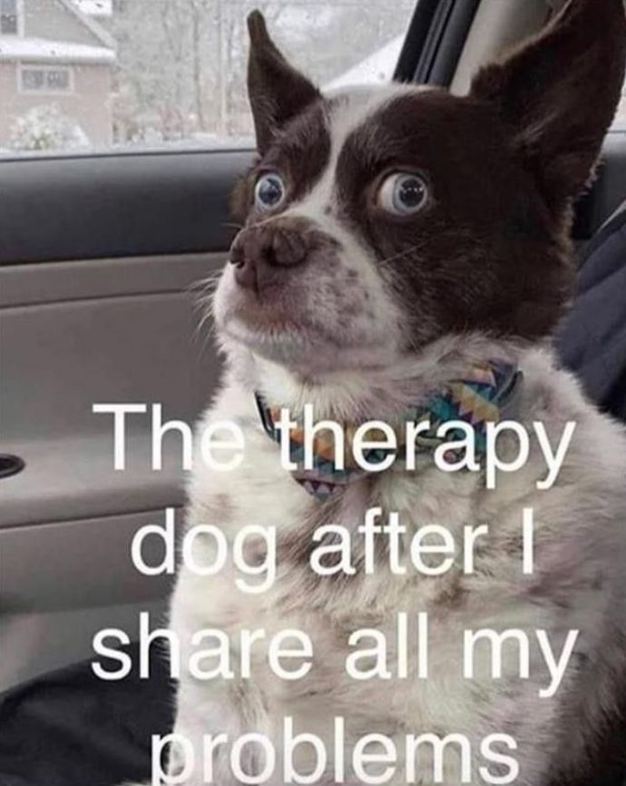 WholesomeMeme's tweet photo. https://t.co/cKYxC6M3uk