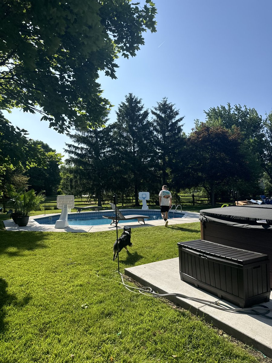 Alex Sedlak tweet media