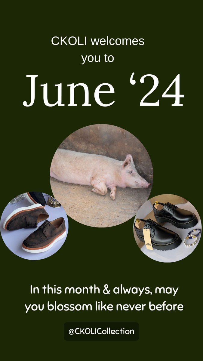 chuxokoli's tweet photo. Happy New Month from the CKOLI Collection
Letโs make June a month of positive vibe, progress, and bountiful success
Together, we can create a positive vibe for June
#ckoli #businessday #june #newmonth #shoelife #pigfarm https://t.co/br28SOhpzX
