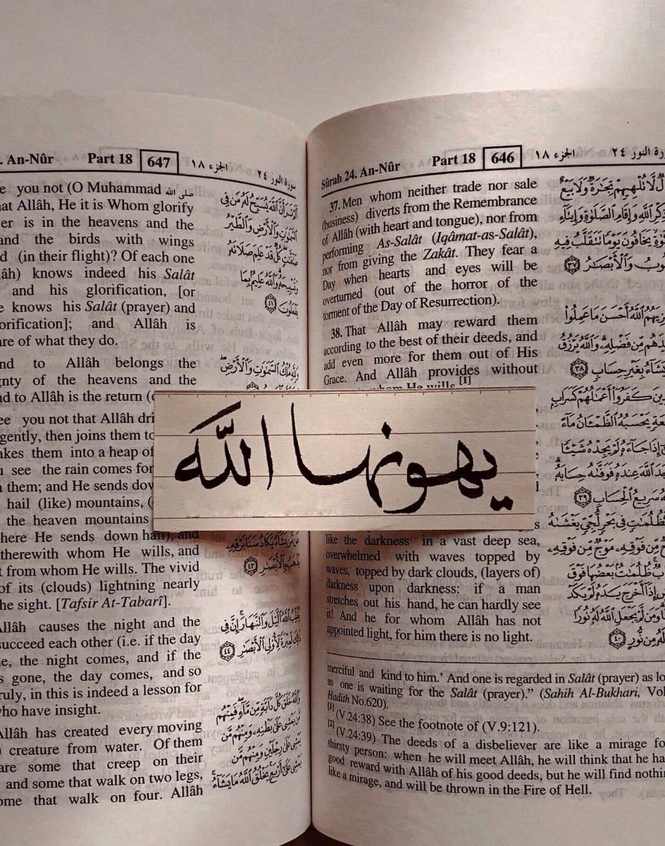 إِطمئن🤎..