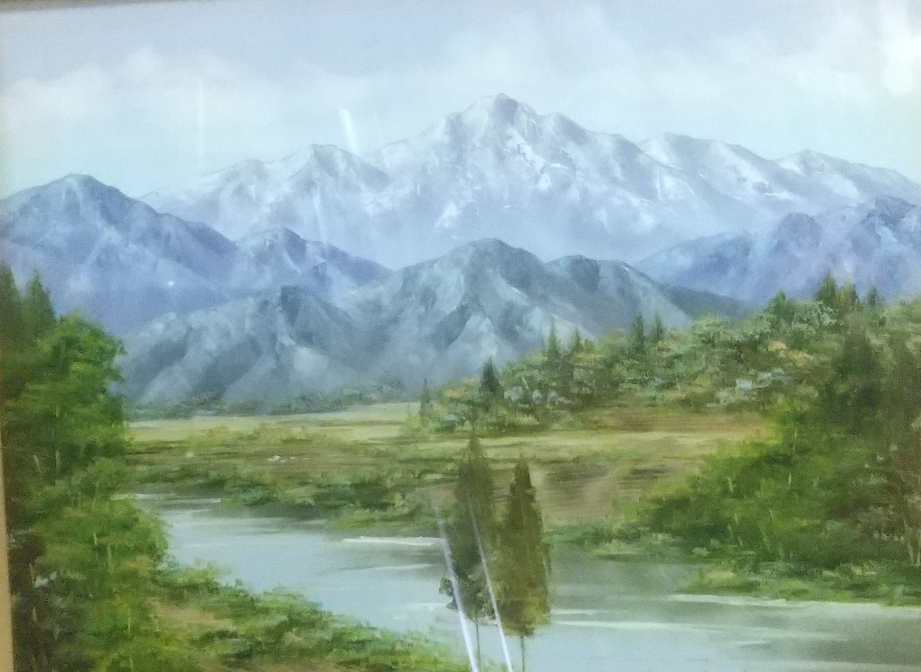 押し花専用額 押し花アート 不思議な花倶楽部 アルプス 風景