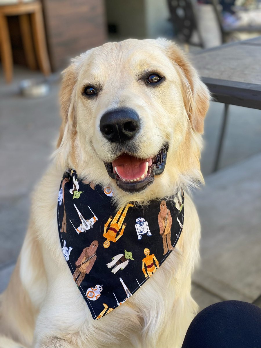 chris3hnd's tweet photo. @BreakdownPod @OpTic @CordaRoys @OpTic @CordaRoys wish my boy Luca a happy birthday! 🥳 https://t.co/eVUrE6MhGL