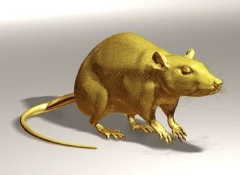 A gold rat only appears before a potential Stanley Cup Final appearance 

Rt for good luck #TimeToHunt