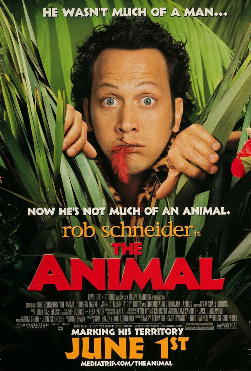 FilmNewsNos's tweet photo. 🎬MOVIE HISTORY: 23 years ago today, June 1, 2001, the movie 'The Animal' opened in theaters!

@RobSchneider #ColleenHaskell #JohnCMcGinley #GuyTorry #EdAsner #MichaelCaton #LouisLombardi #NormMacdonald @johnpfarley #AdamSandler #SebastianJude #CharlieStewart #PhilipDanielBolden https://t.co/PFINHEUX3S