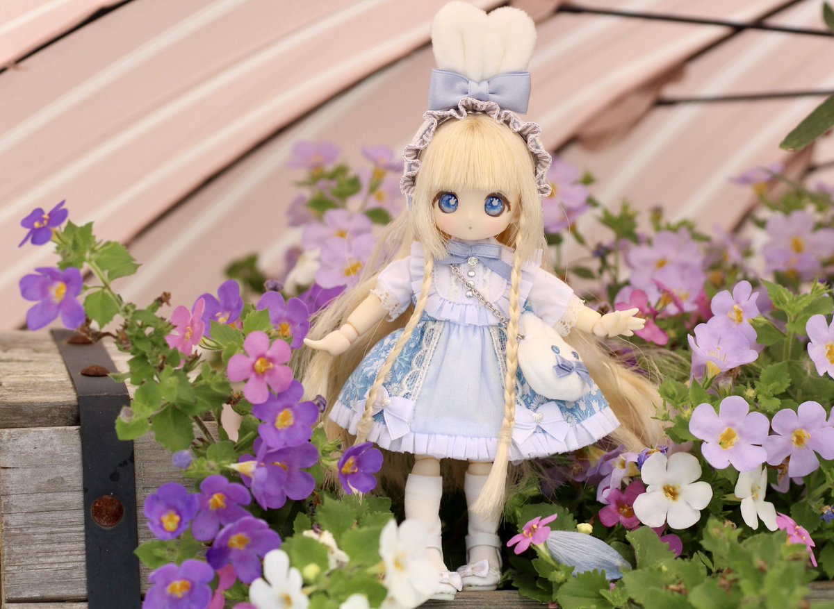 nondolls's tweet photo. 素敵なお洋服とご縁いただきました🥰
全てにおいて可愛すぎて言語化できない…！
庭のお花と一緒に撮影したら不思議の国アリスちゃんに変身🐰🩵

 #メモワールカネット︎  #シュガーカップス https://t.co/ey4VZcCPNh